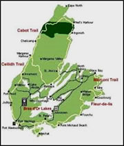 The Island
